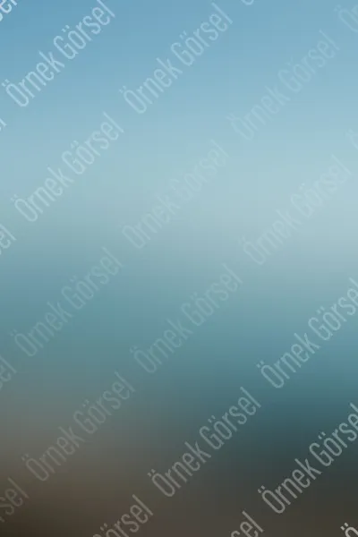 Mitsubishi Klima Servisi Bakırköy