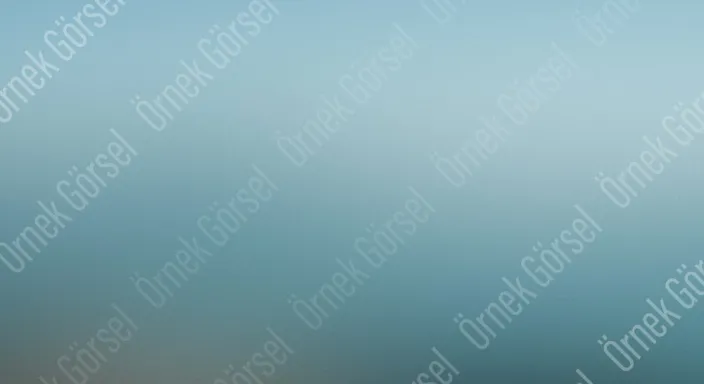 Mitsubishi Klima Servisi Florya